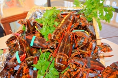 il pescato per la zuppa di pesce